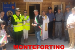 3.4.1.2 -Montefortino 1