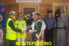 3.4.7.9 -Montefortino 1